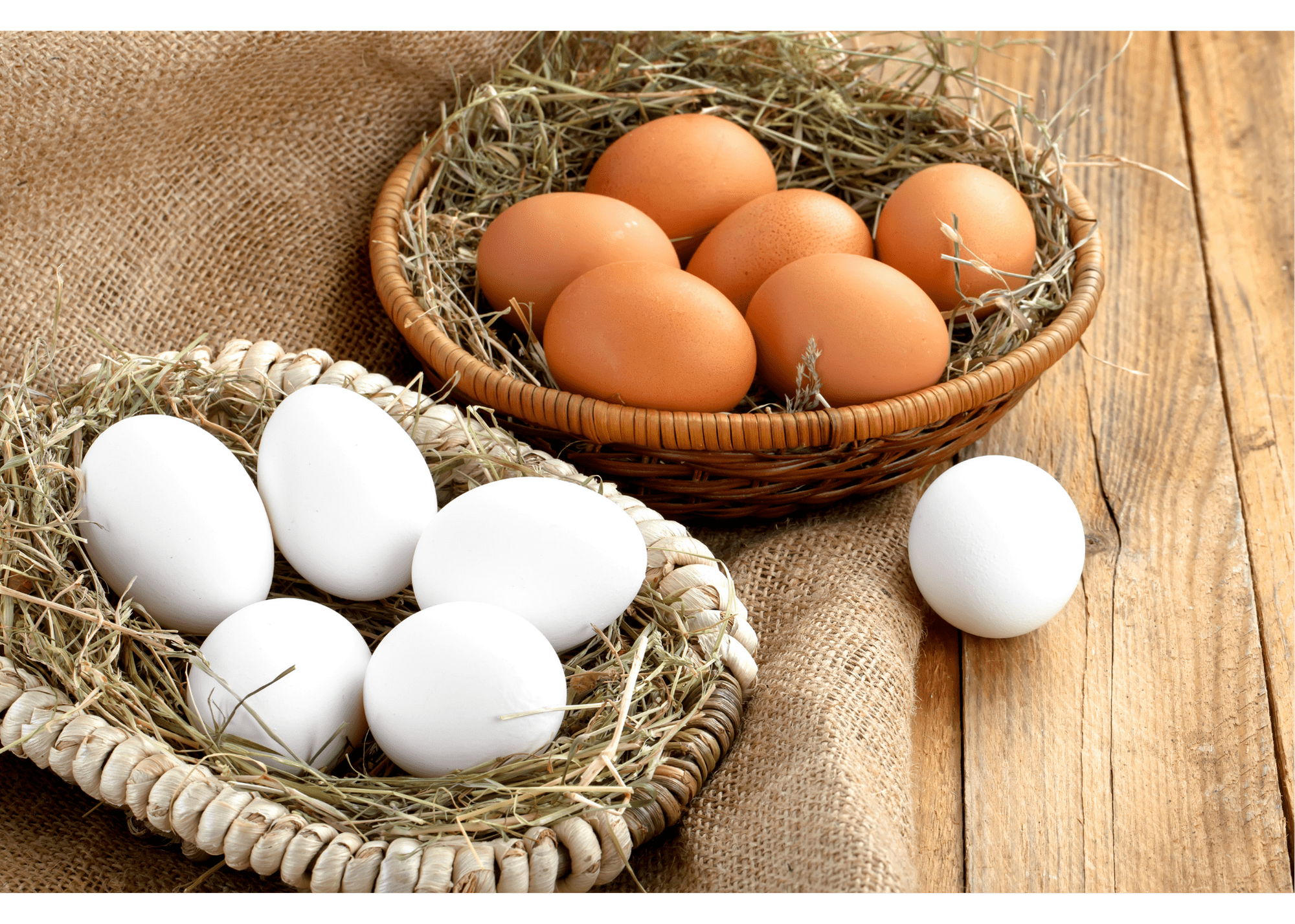 You CAN Put All Your Eggs in this Basket – FanningSparks